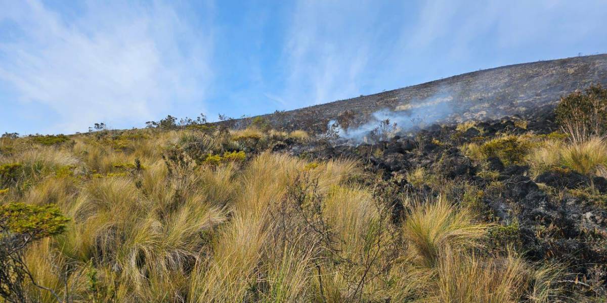 El incendio en la reserva ecológica Los Ilinizas ha sido controlado