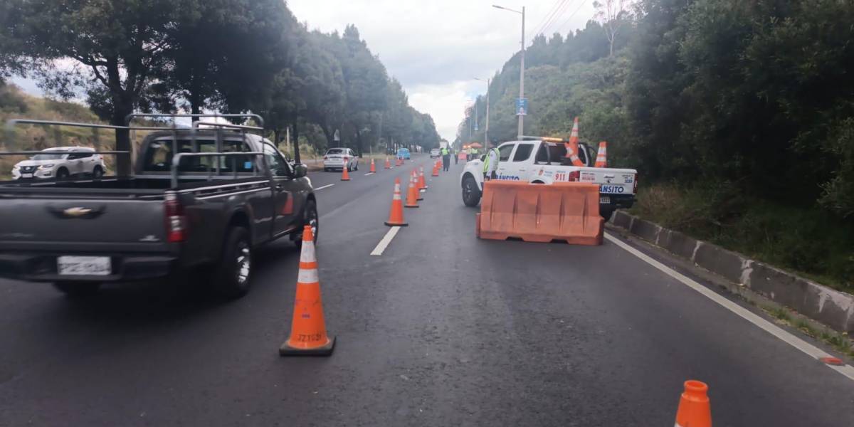 Pico y placa en Quito: las restricciones de movilidad para este lunes 14 de agosto