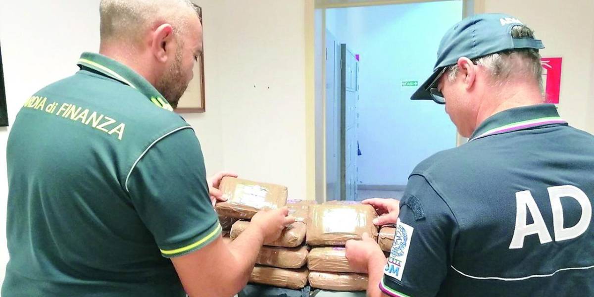 Italia incauta 150 kilos de cocaína ocultos en un contenedor con banano que salió desde Guayaquil