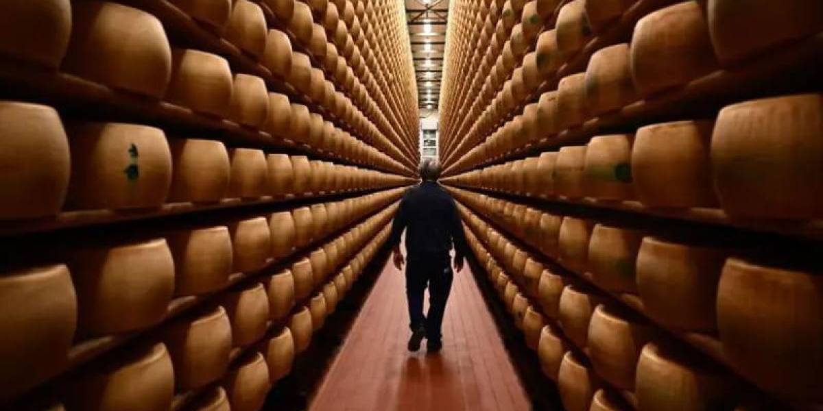 Por qué el queso gourmet está en la mira de criminales del mercado negro