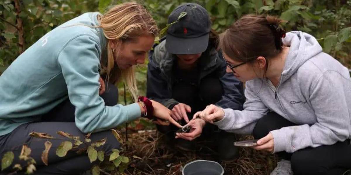 El Método Miyawaki: cómo pequeños bosques urbanos están ayudando a recuperar la biodiversidad en todo el mundo