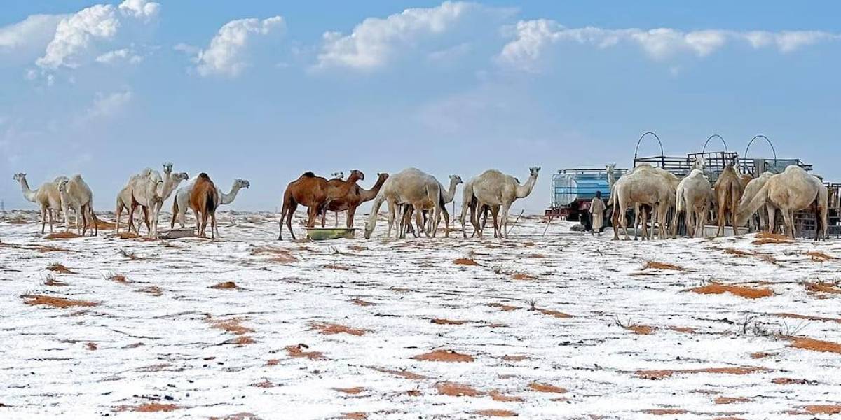 La primera nevada histórica en el desierto de Arabia Saudita sorprende al mundo