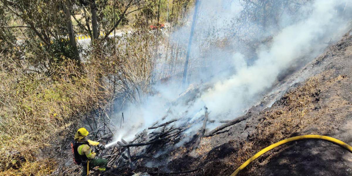 Incendios forestales en Quito: cinco emergencias se reportaron este 14 de septiembre