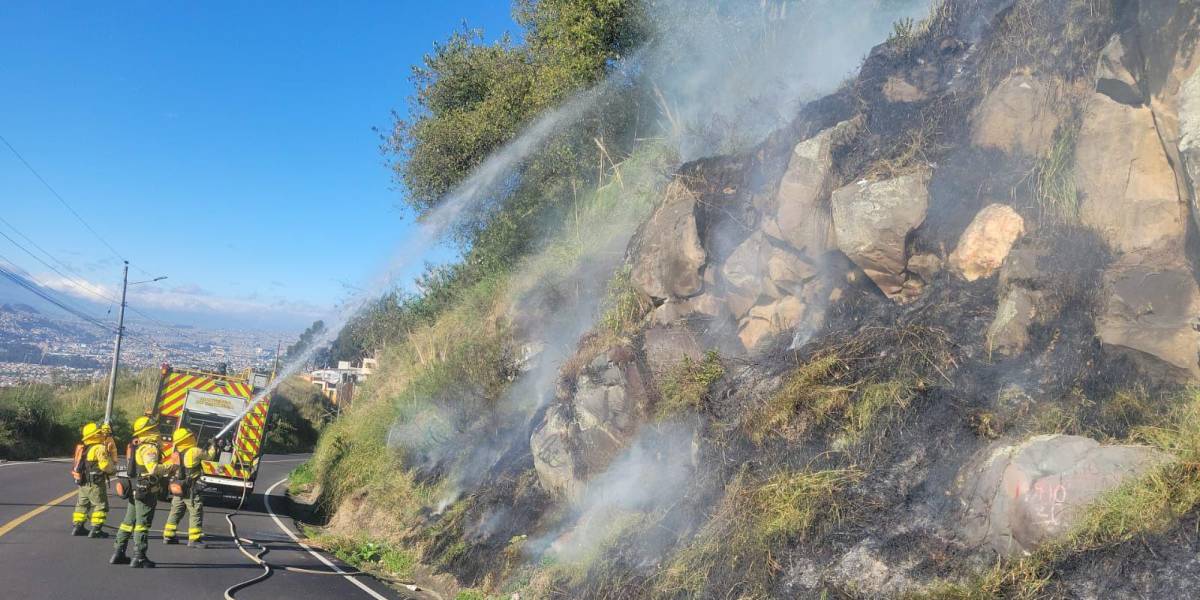 Quito | Un incendio forestal consumió 500 m² de vegetación en la Cima de la Libertad