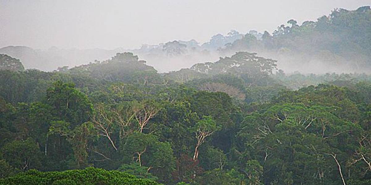 Las posibilidades de lluvias con tormentas se incrementarán en la Amazonía