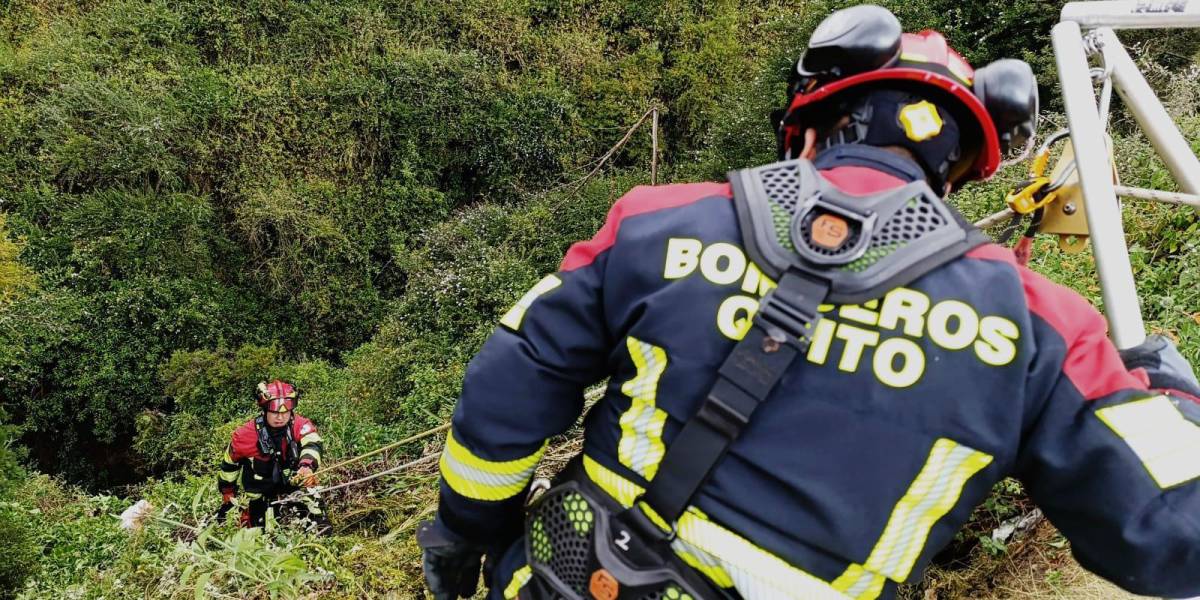 Quito | Un hombre murió al caer 50 metros con su vehículo en una quebrada de Carcelén