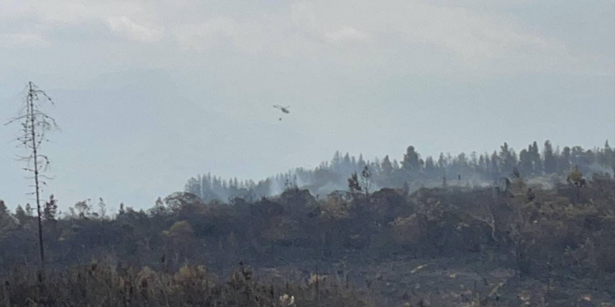 12 incendios forestales se mantienen activos en Ecuador