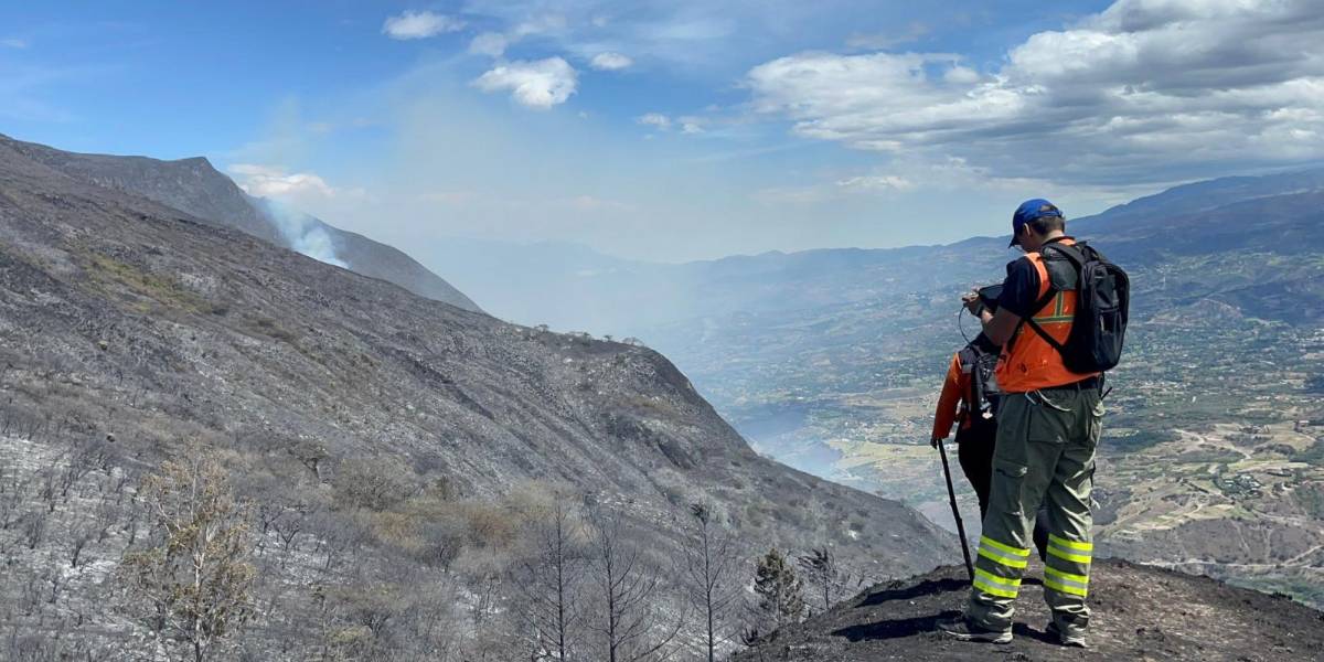 El incendio forestal en Azuay fue liquidado y dejó 850 hectáreas de vegetación destruidas