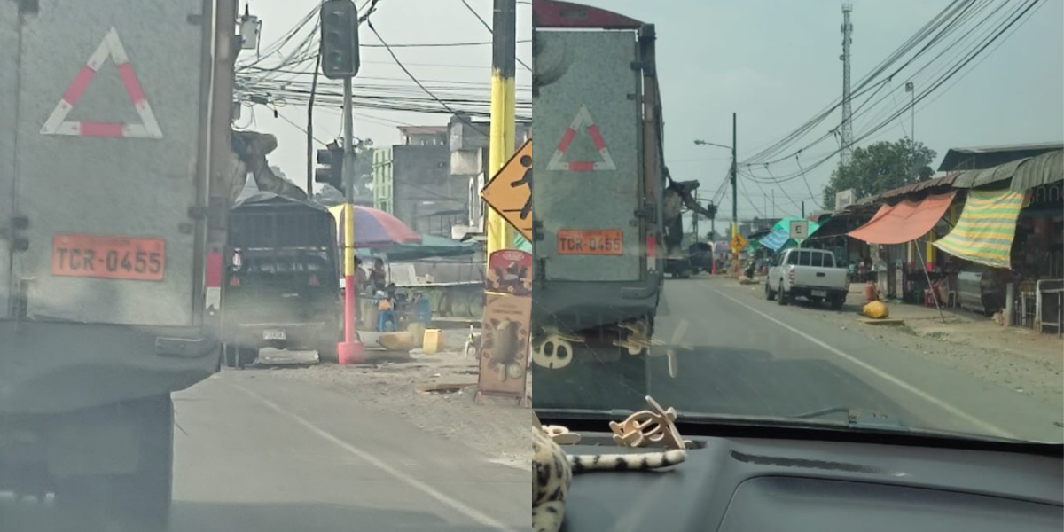 Maltrato animal: a un oso perezoso lo llevaban colgado de un camión en la vía a Santo Domingo