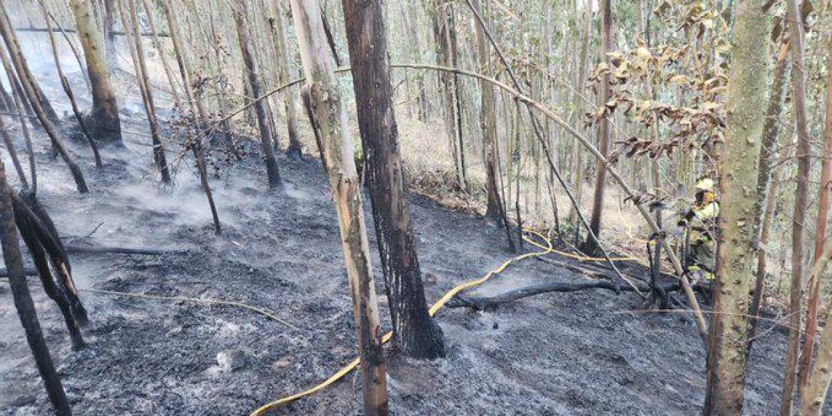 Las autoridades están tras la pista de dos hombres que habrían provocado incendios en el sur de Quito