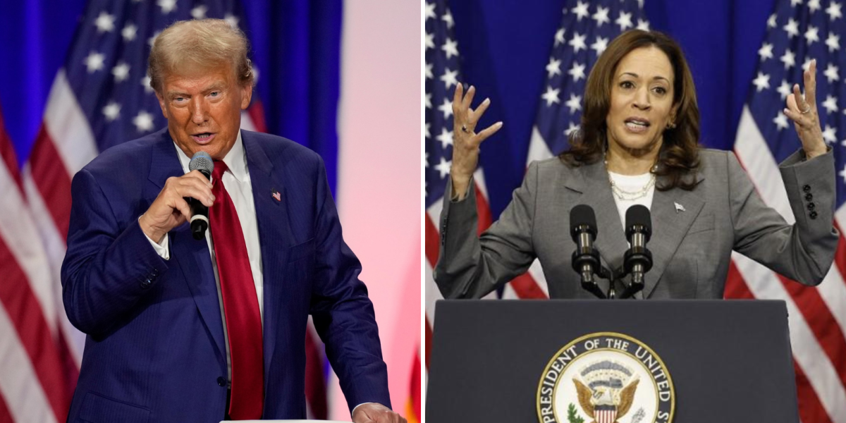 Qué dicen las encuestas sobre las elecciones en EE.UU. y qué tienen que hacer Harris y Trump para ganar