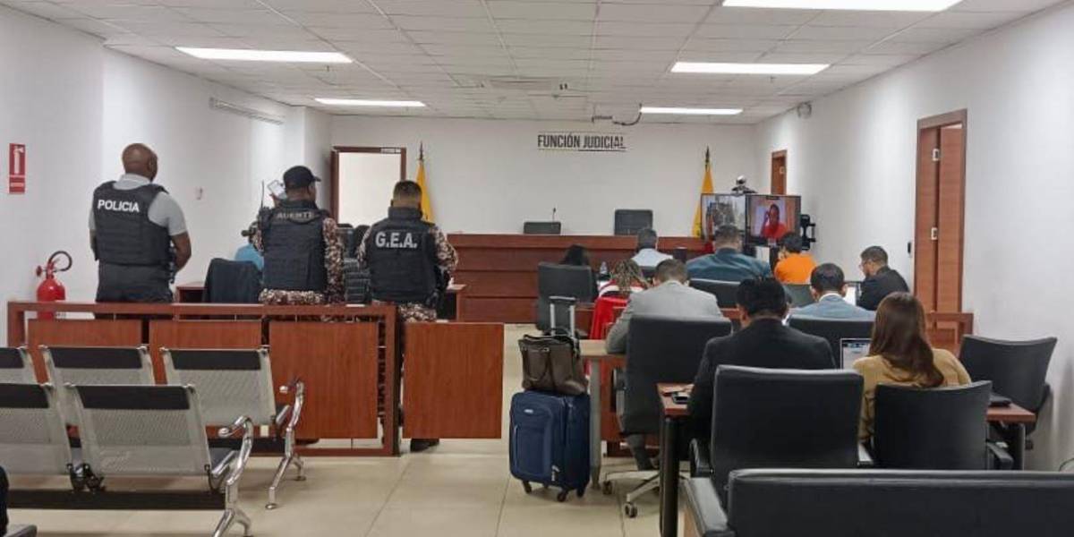 Caso Pampa: acusados de tener nexos con la mafia albanesa enfrentan audiencia de juicio