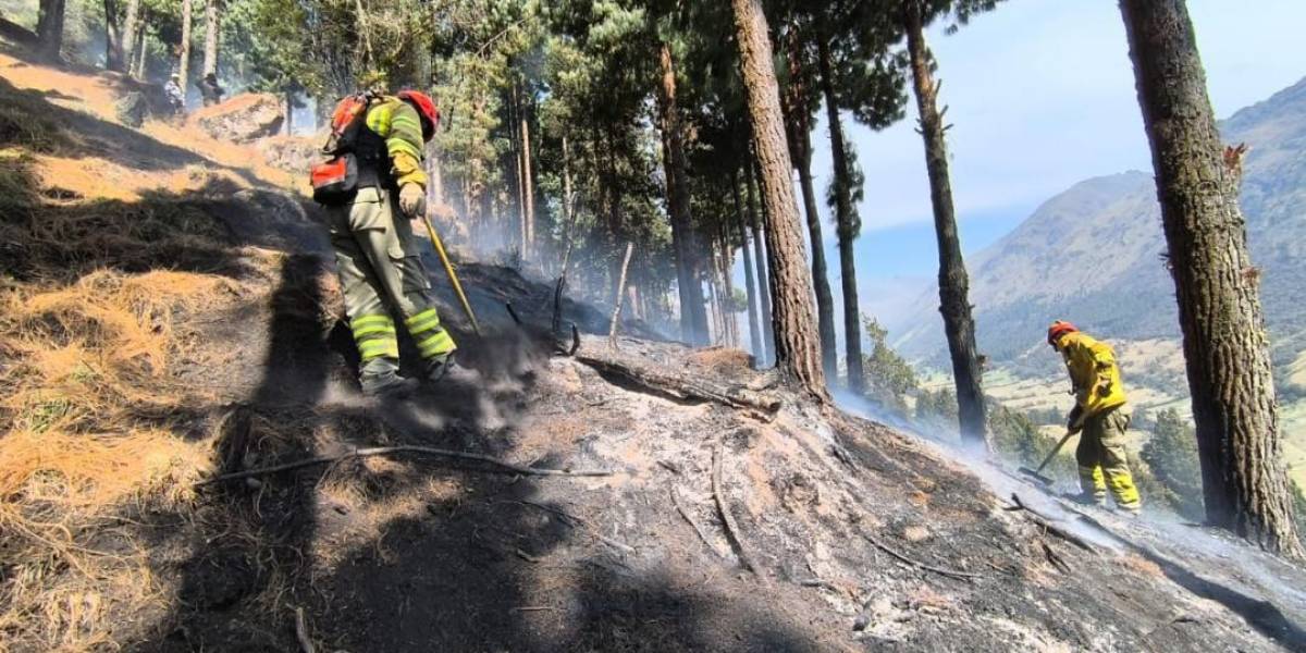 El Inamhi pronostica que habrá condiciones metereológicas para la activación de incendios forestales