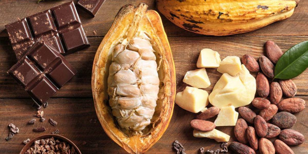 Las proyecciones del mercado de cacao ecuatoriano se analizarán el 30 y 31 de mayo