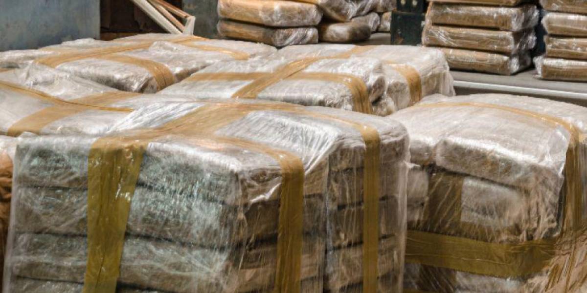 Cocaína proveniente de Ecuador fue incautada en Georgia