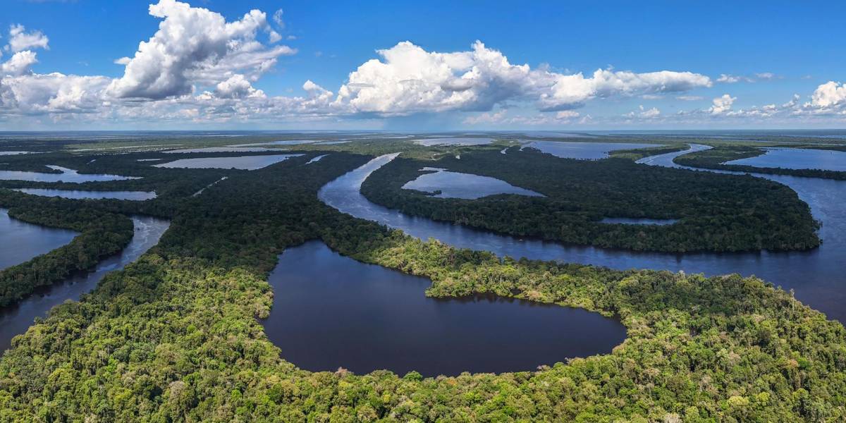 La Cruz Roja lanza un programa para combatir la crisis climática en la selva del Amazonas