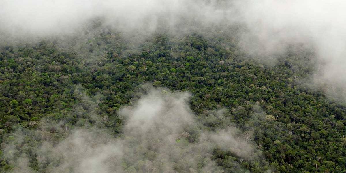 La Amazonía tendrá tormentas y lluvias intensas entre el 20 y 21 de noviembre