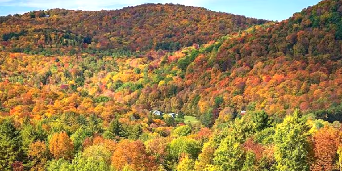 Estados Unidos enfrenta el otoño boreal más caluroso de los últimos ocho años