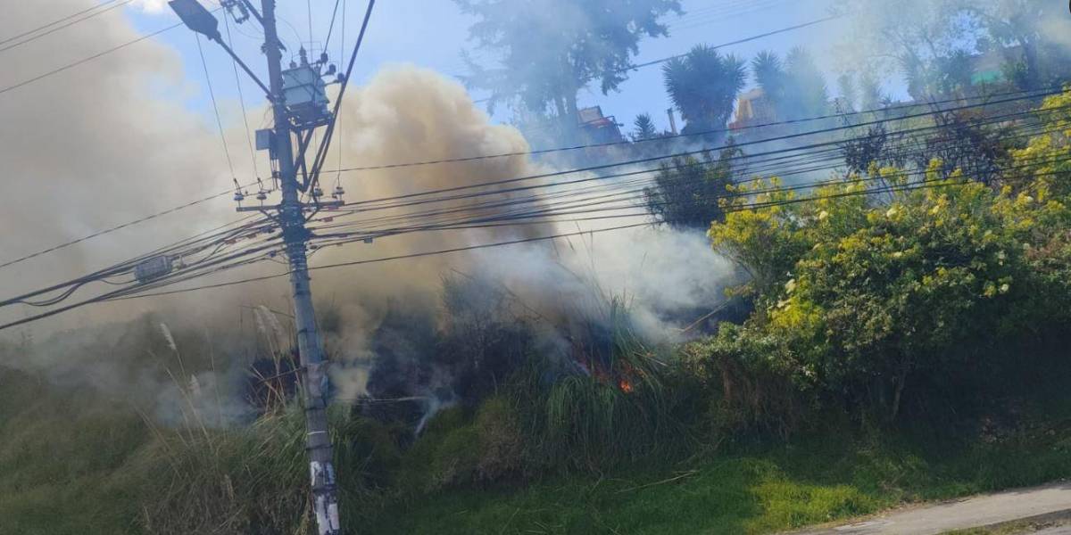 Quito | Un incendio forestal en el sector de El Recreo consumió 150 m² de vegetación