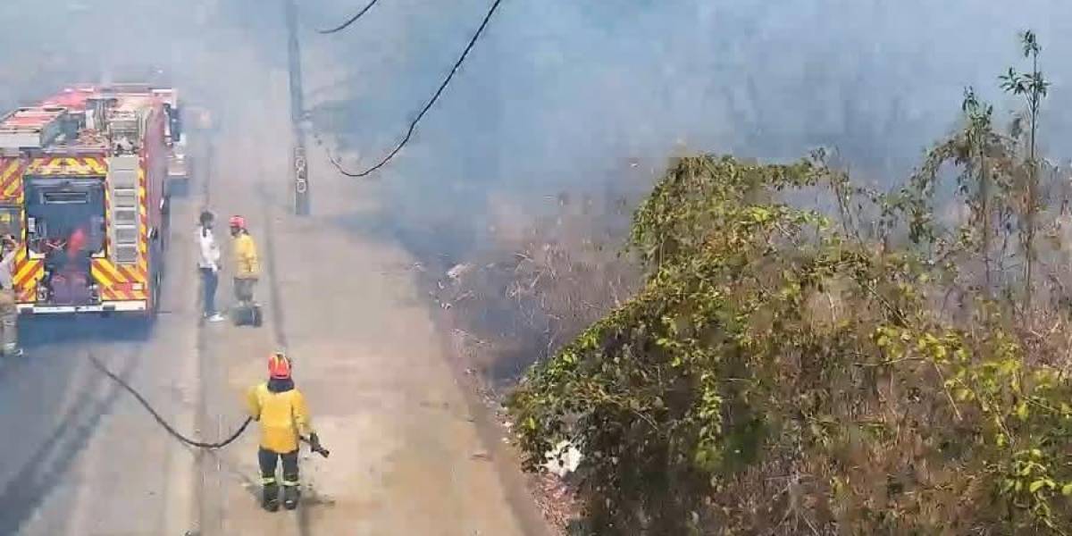 Bomberos luchan contra un incendio forestal en el cerro Colorado en Guayaquil