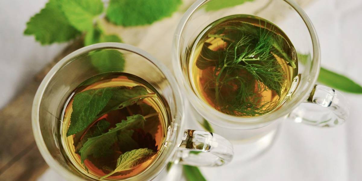 ¿Te gusta el té? Aquí tienes 10 infusiones frías para disfrutar en el calor