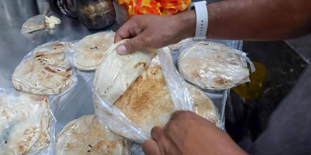 Quito | Local de comida árabe en la av. República de El Salvador fue clausurado por presencia de cucarachas