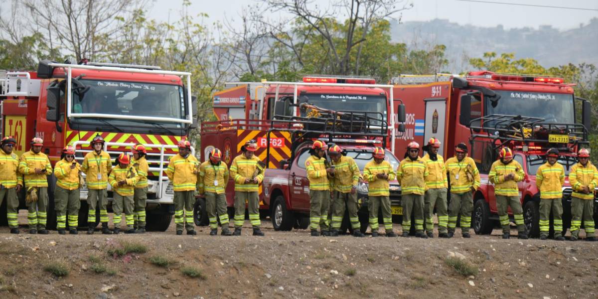 Guayaquil ofrece a Quito hasta 35 bomberos especializados para combatir incendios forestales