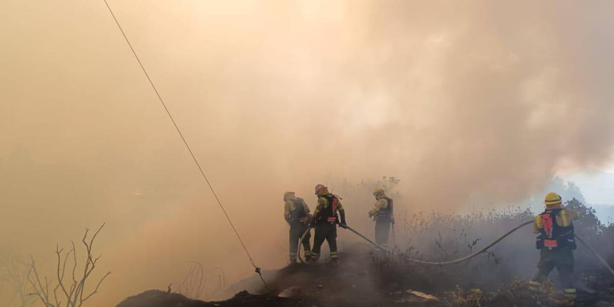 Las denuncias por incendios forestales en Quito ascienden a 13; hay dos sospechosos capturados