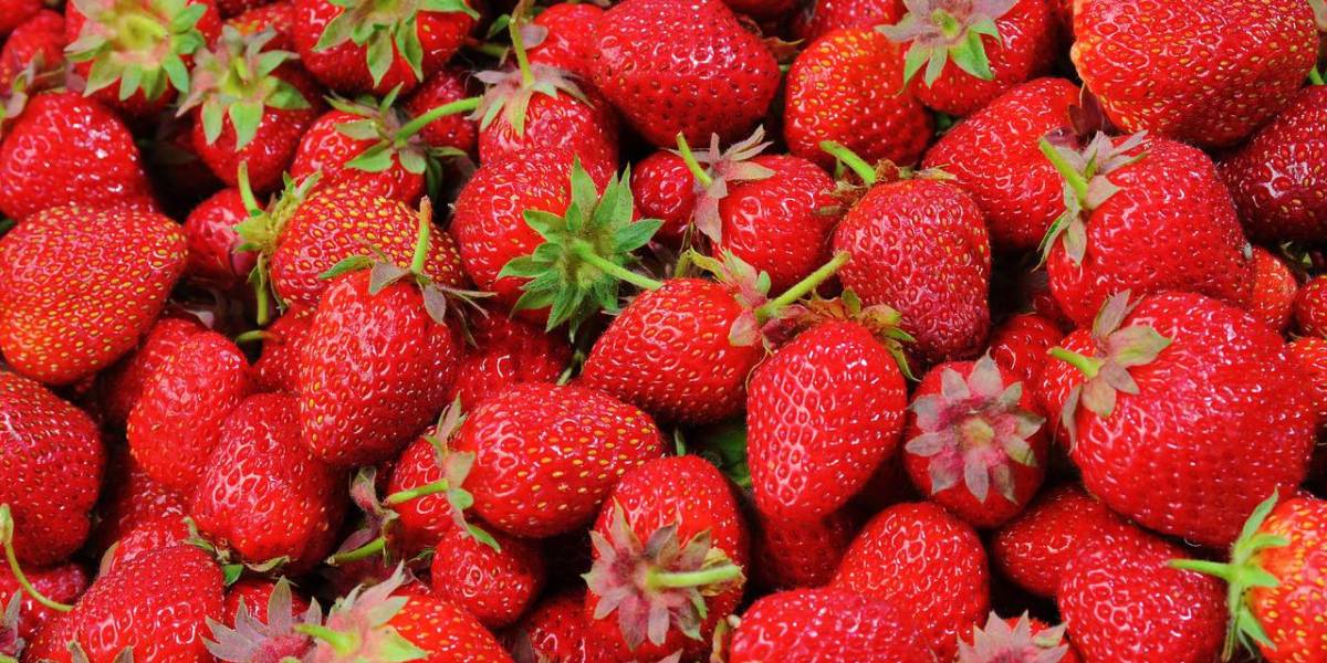 El secreto para evitar que tus frutillas se echen a perder en la nevera