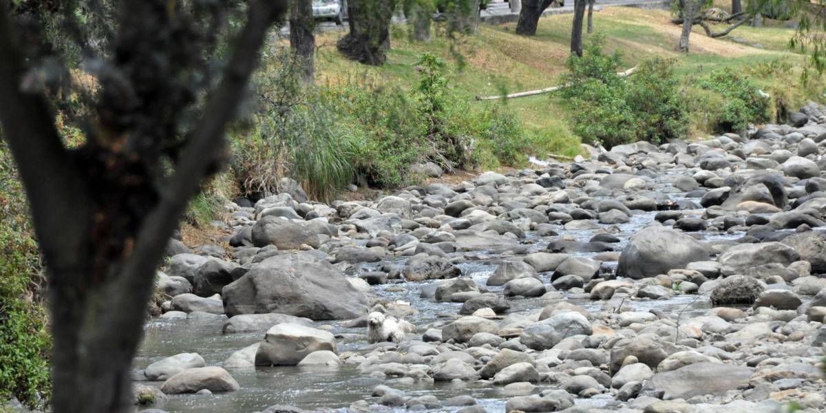 El río Tarqui, en Cuenca, vuelve a los niveles de estiaje