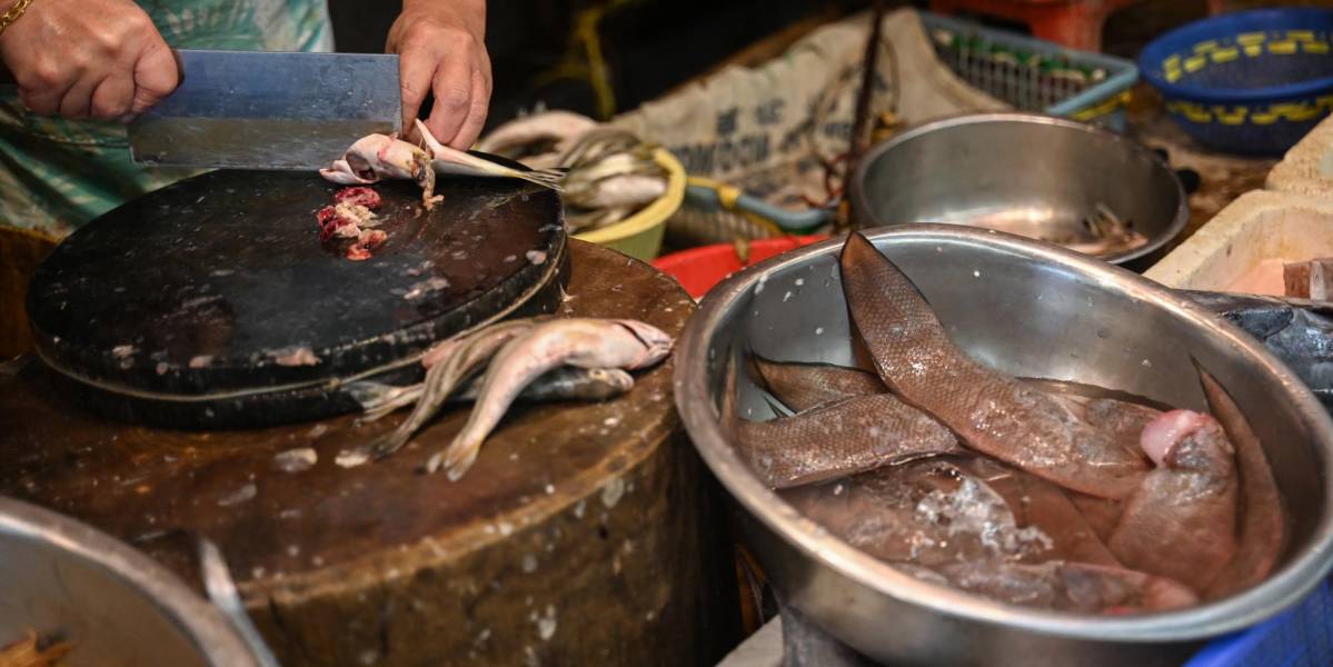 Hong Kong informa de 40 casos de infección potencialmente mortal por consumo de pescado crudo