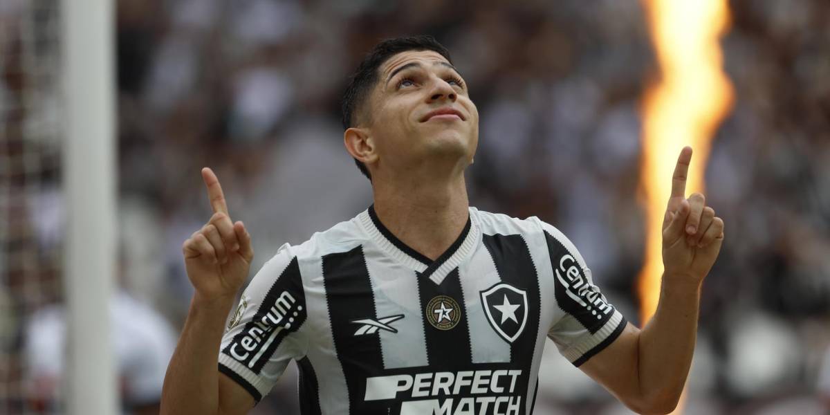 Botafogo se consagró campeón del Brasileirao 2024, después de 29 años