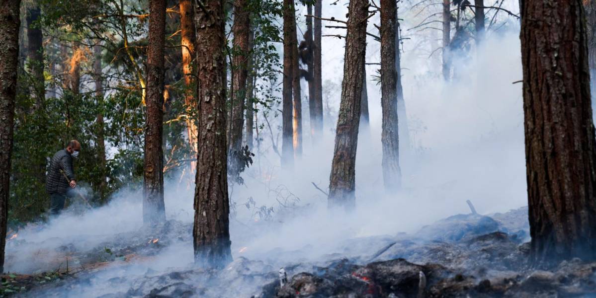 ¿A qué se deben las altas temperaturas que estimulan la proliferación de incendios forestales en Ecuador?