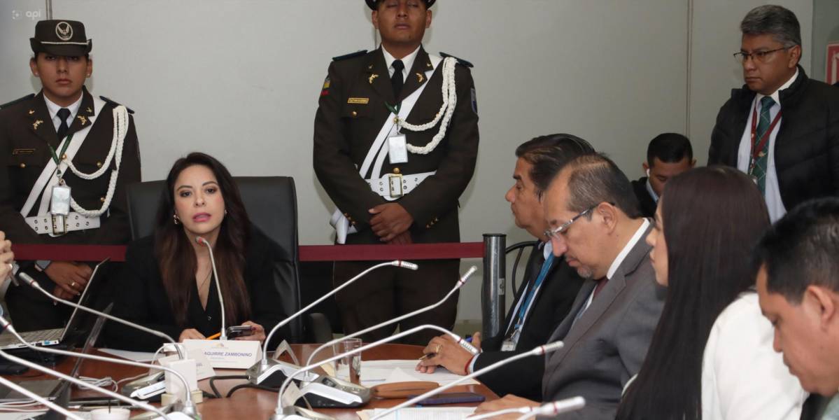 Pamela Aguirre cuestiona que Juan Esteban Guarderas presentó dos acciones de protección en medio de su proceso de juicio político