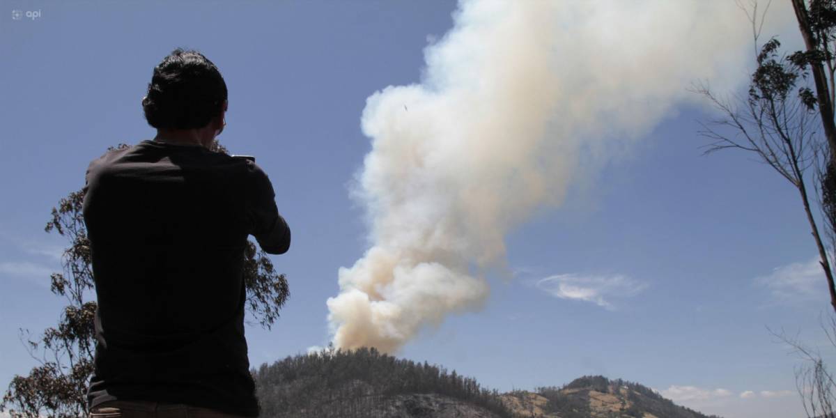 La Fiscalía investigará las causas de los incendios forestales en cada provincia