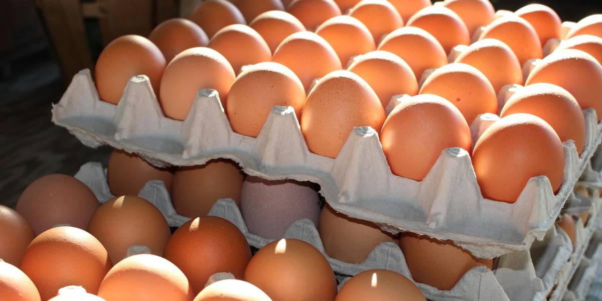 La sequía amenaza la producción de huevos en Ecuador