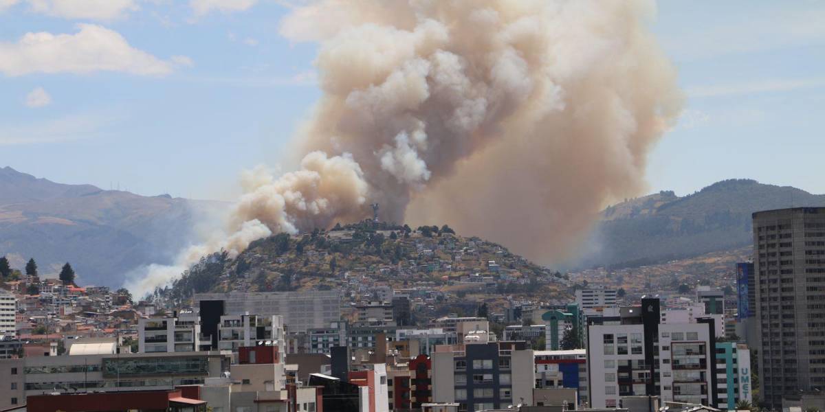 El incendio forestal en El Panecillo fue controlado; una persona que guardaba fósforos y droga quedó detenida