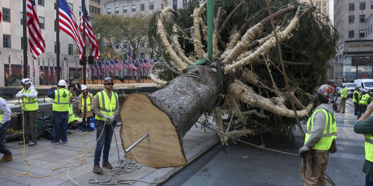 El árbol de Navidad del Rockefeller Center llega a Nueva York para inaugurar la temporada