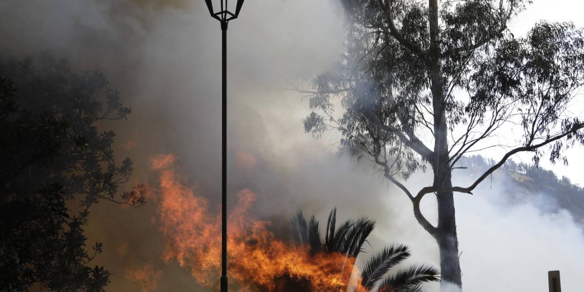 Aumentan los incendios forestales en Quito: consejos para eliminar el humo y proteger el hogar