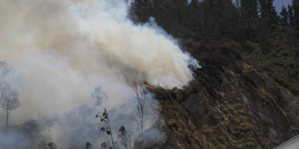 Lo último que se sabe sobre los incendios forestales en Quito hasta este miércoles 25 de septiembre