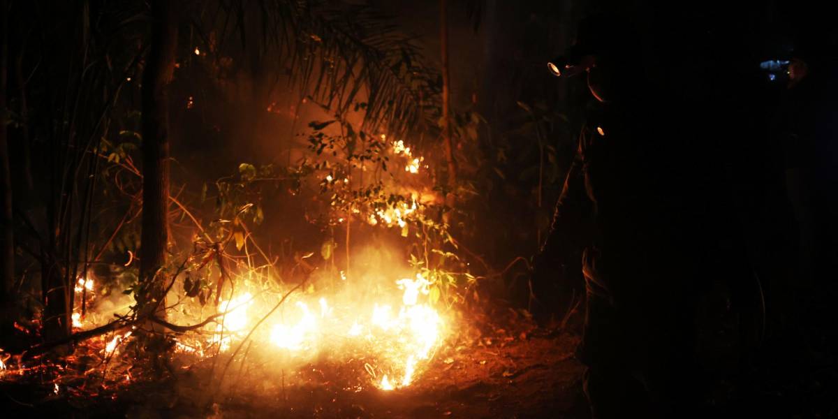 Demandan a autoridades bolivianas por no prever incendios forestales