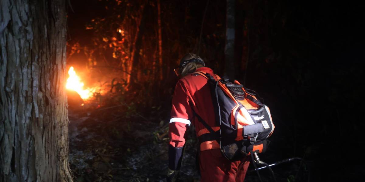 Bolivia enfrenta una lucha incansable contra incendios forestales en Chiquitania