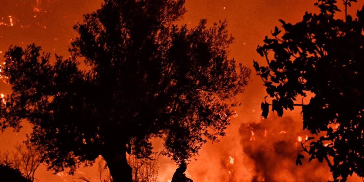 Tragedia en Grecia: incendio forestal deja dos víctimas fatales en Corintia