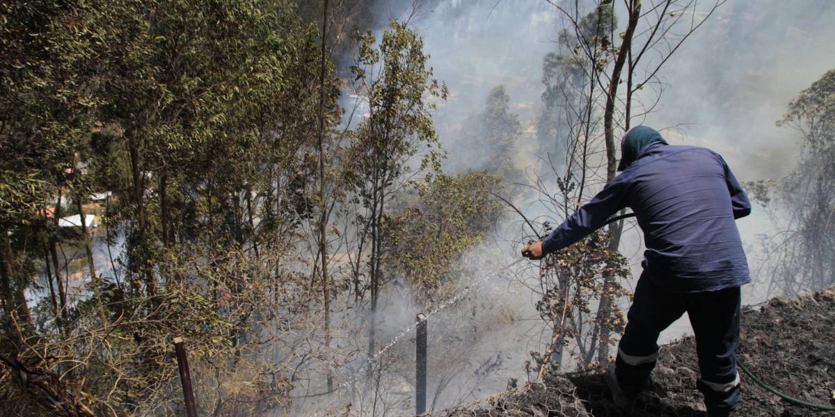 15 incendios forestales siguen activos en nueve provincias de Ecuador este 26 de septiembre