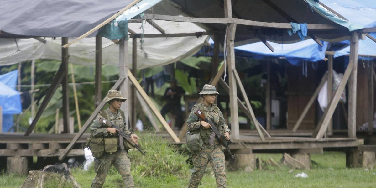 Desmantelan campamento clandestino de migrantes en la selva del Darién