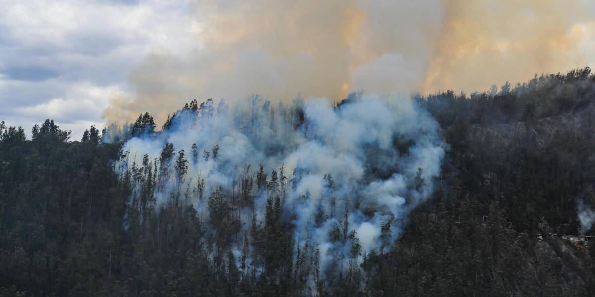 Un equipo Humanitario de la ONU apoyará a Ecuador en mitigación de incendios y sequía