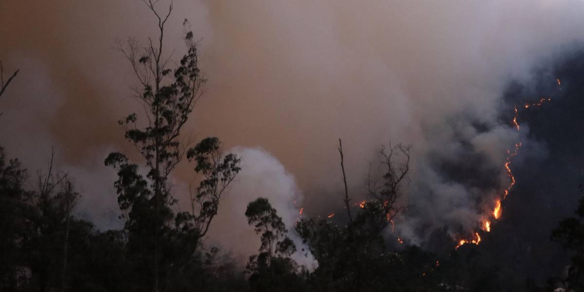 Incendio en Guápulo: ¿por qué se dictó ocho meses de prisión al causante?