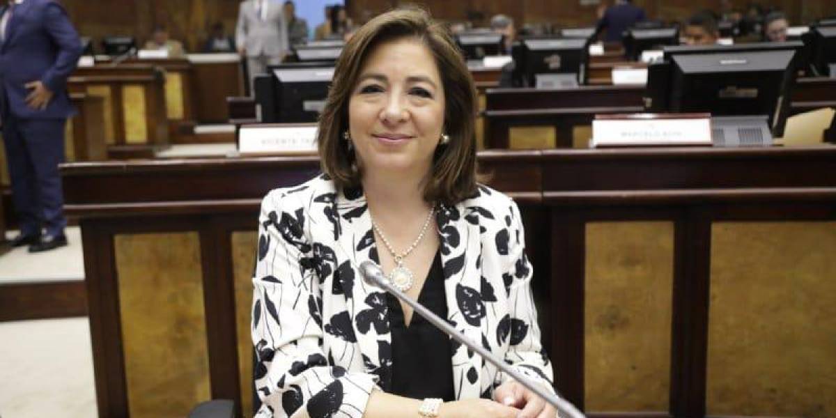 María de Lourdes Alarcón, reemplazo de Kronfle, va a la Comisión de Justicia