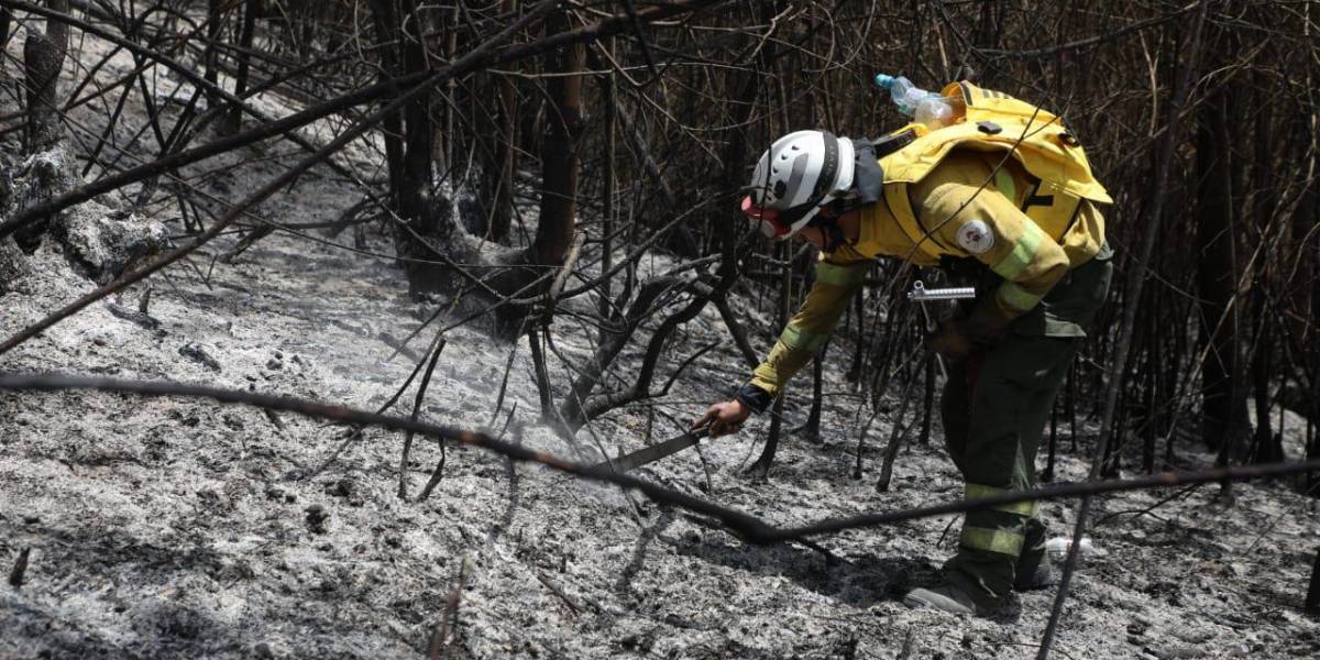 El riesgo de deslaves pone nuevamente en jaque al cerro Auqui; conozca cómo cuidar la montaña hasta su recuperación