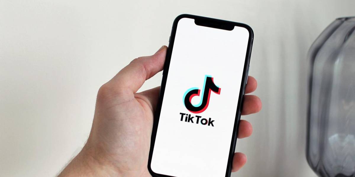 TikTok 2024: las 10 tendencias que marcaron el año